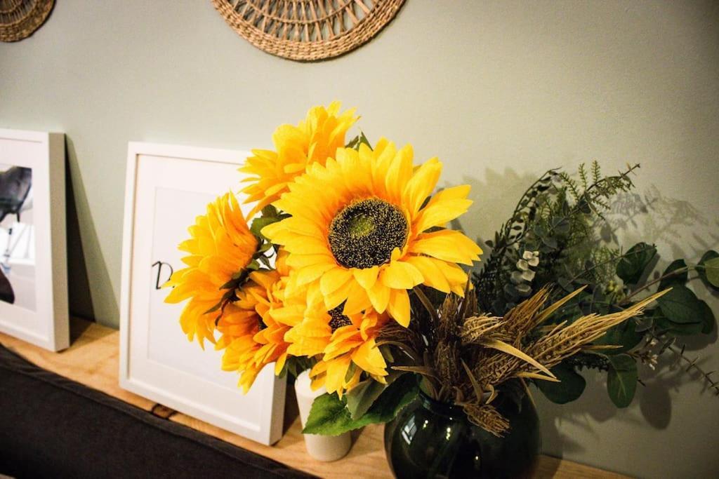 Apartamento Venus Apartment รอนดา ภายนอก รูปภาพ